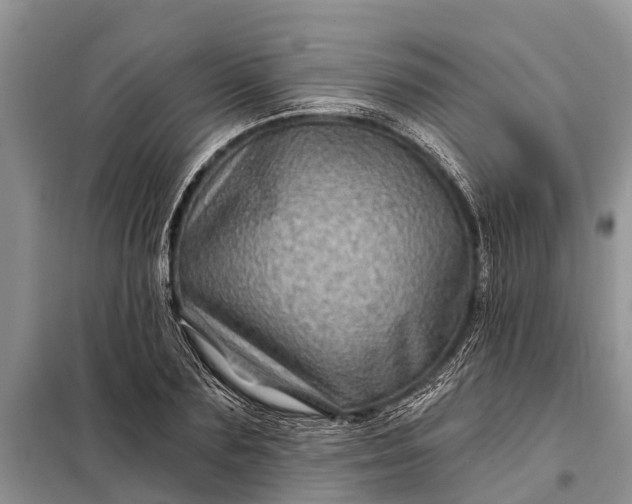 X0000097970883200804071055