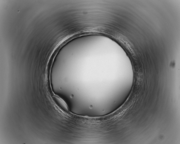 X0000097970884200804071055