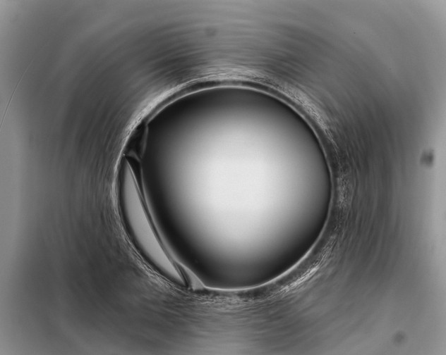 X0000097970885200804071055