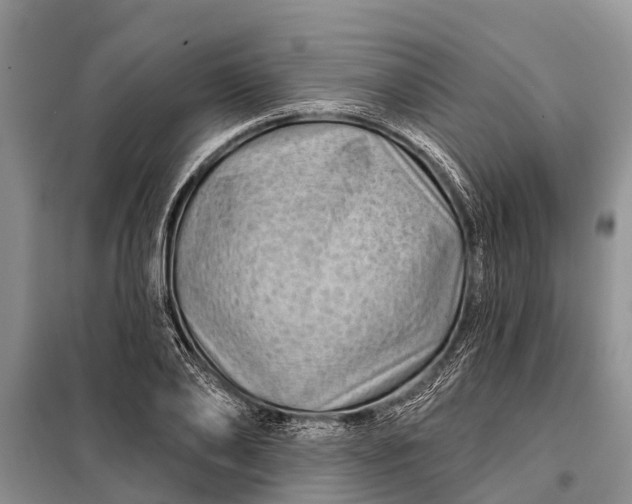 X0000097970886200804071055