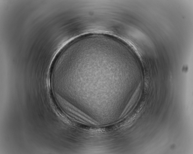 X0000097970887200804071055