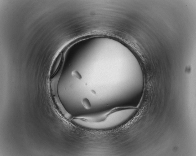 X0000097970888200804071055