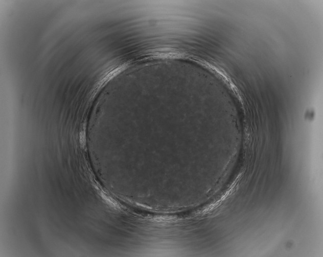 X0000097970889200804071055