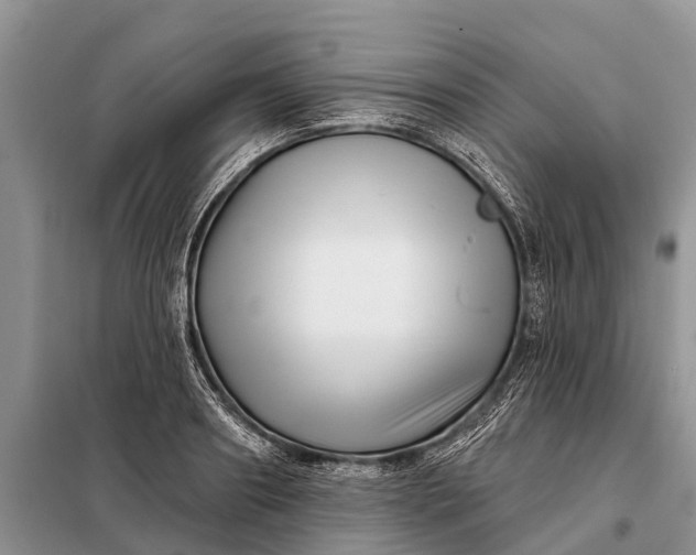 X0000097970890200804071055