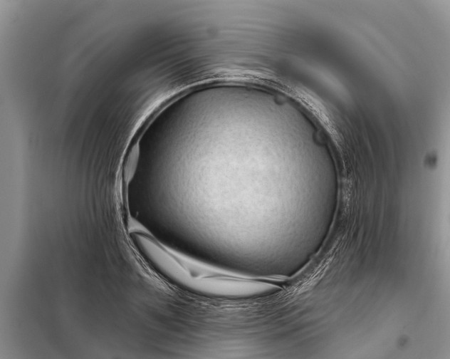 X0000097970891200804071055