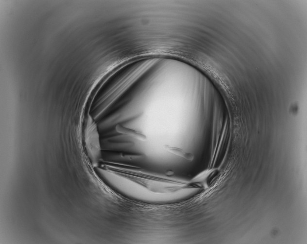 X0000097970892200804071055