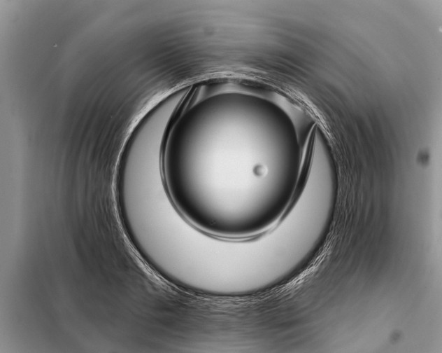 X0000097970893200804071055