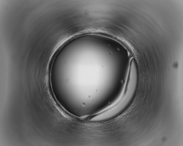 X0000097970894200804071055