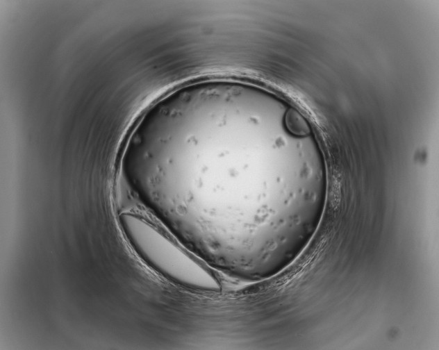 X0000097970895200804071055