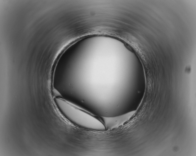 X0000097970896200804071055