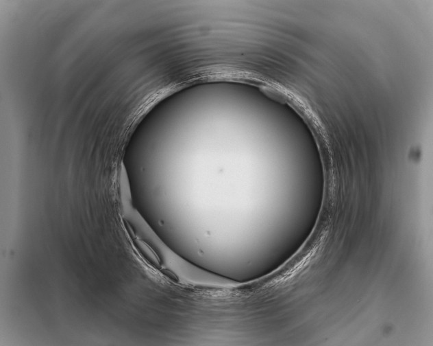 X0000097970897200804071055