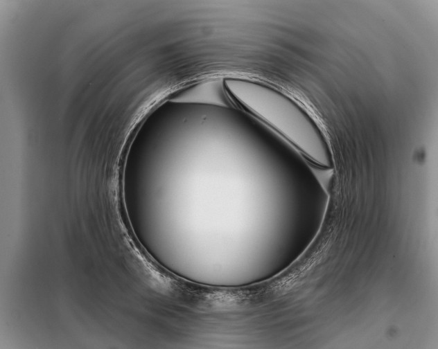 X0000097970898200804071055