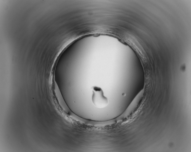 X0000097970900200804071055