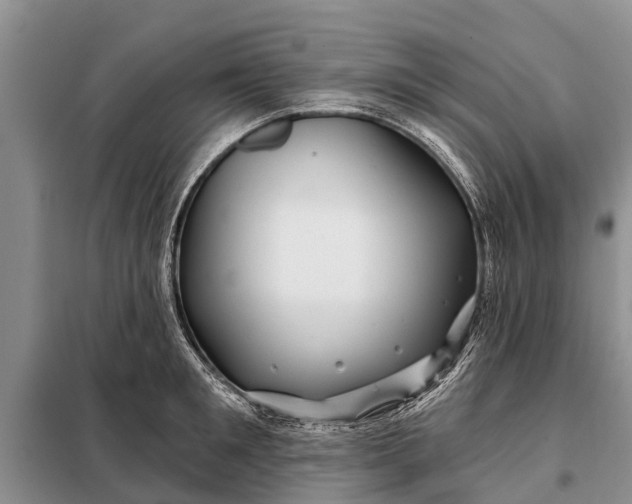 X0000097970901200804071055