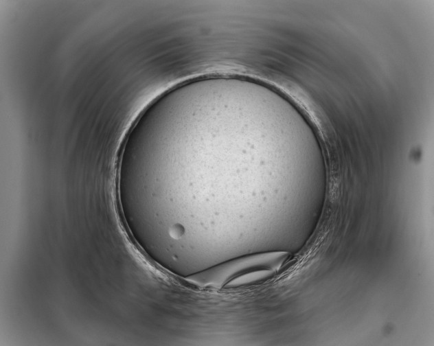 X0000097970903200804071055