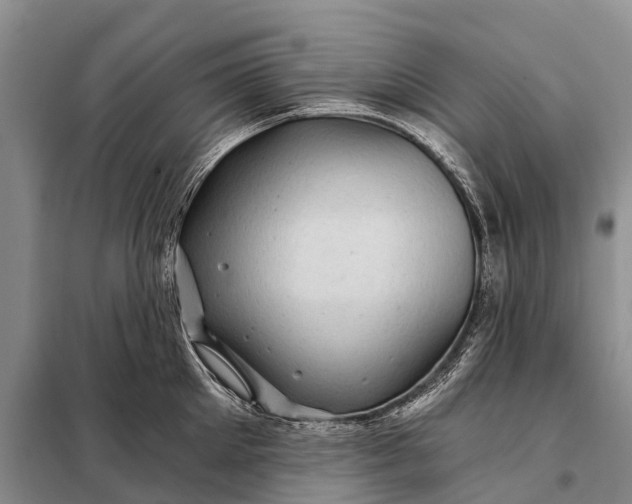 X0000097970905200804071055