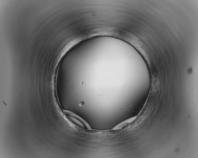 X0000097970906200804071055