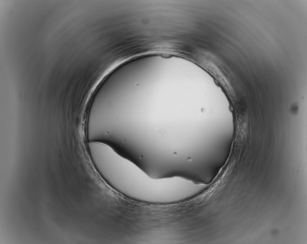 X0000097970908200804071055