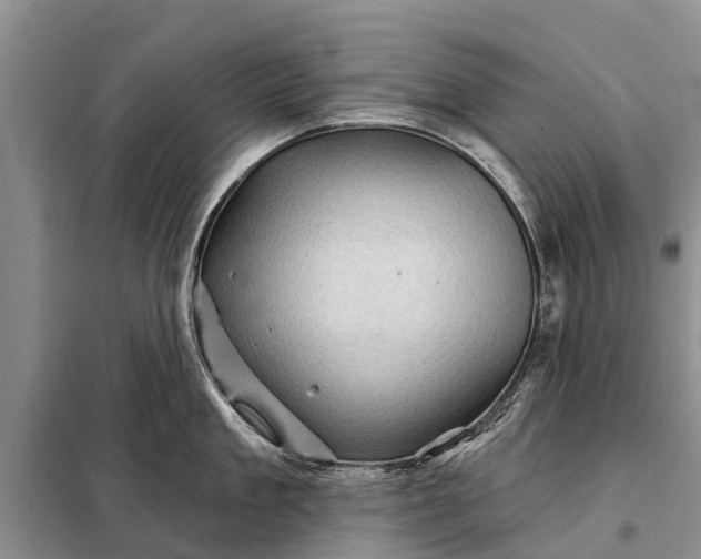 X0000097970909200804071055