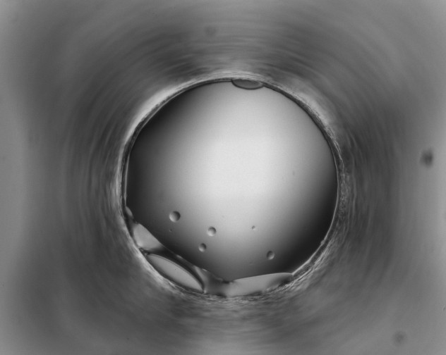 X0000097970910200804071055