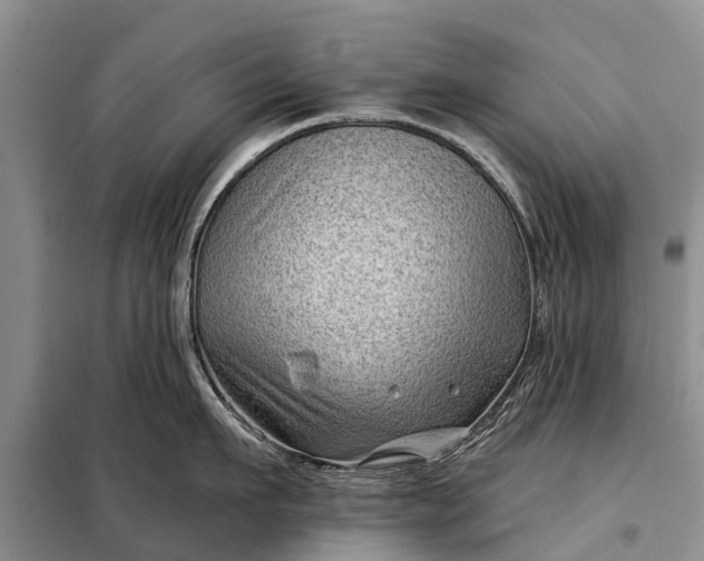 X0000097970911200804071055