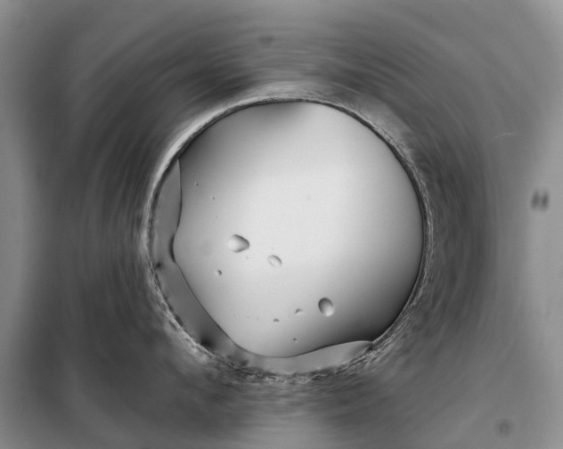 X0000097970912200804071055