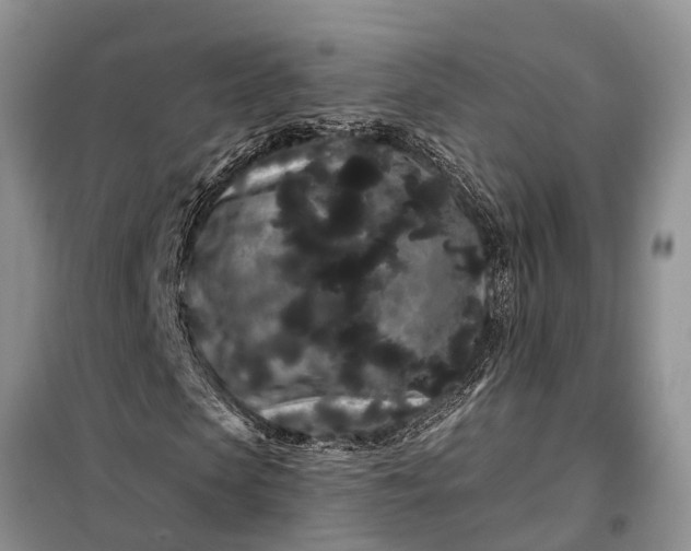 X0000097970913200804071054