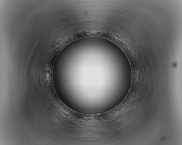 X0000097970914200804071054