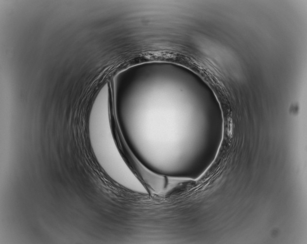 X0000097970915200804071054