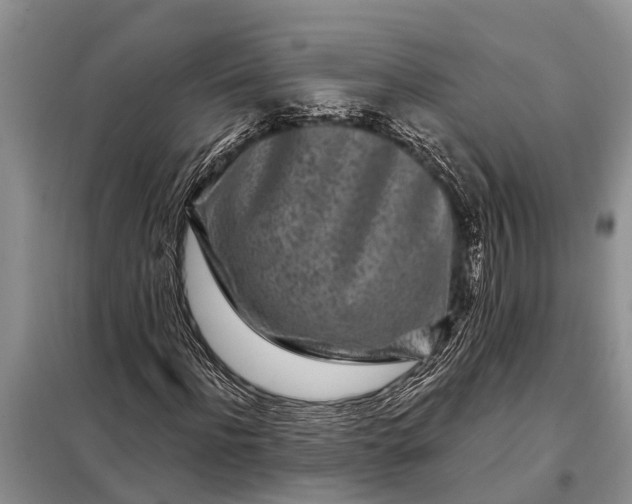 X0000097970916200804071054