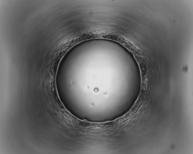 X0000097970917200804071054