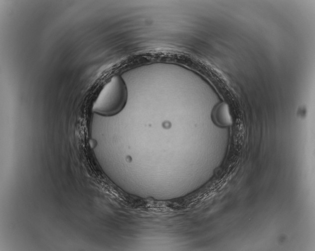 X0000097970918200804071054