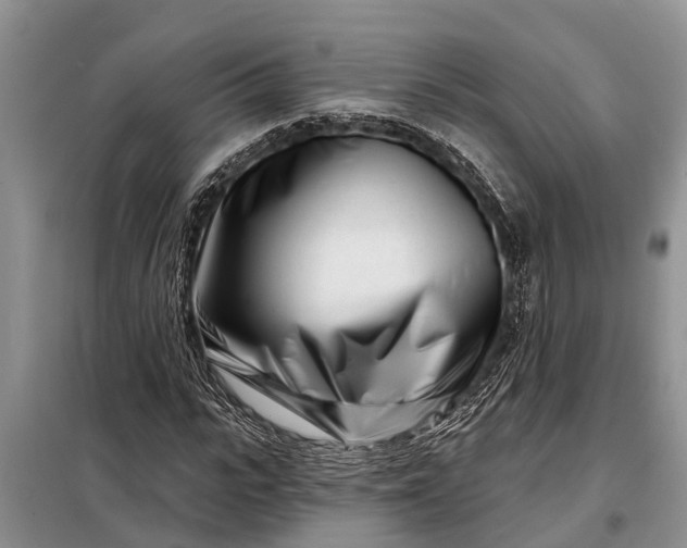 X0000097970919200804071054