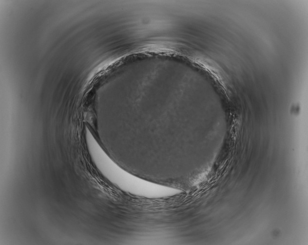 X0000097970920200804071054