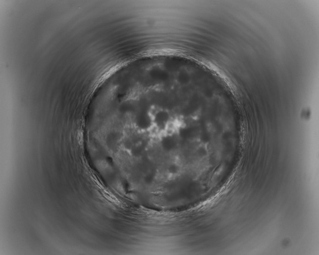 X0000097970921200804071054