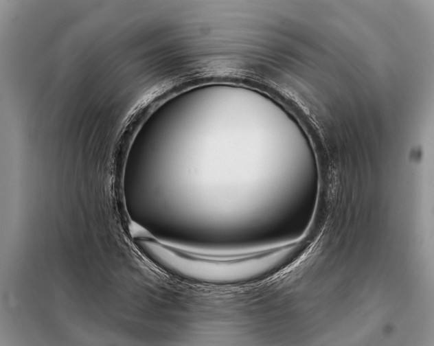 X0000097970922200804071054