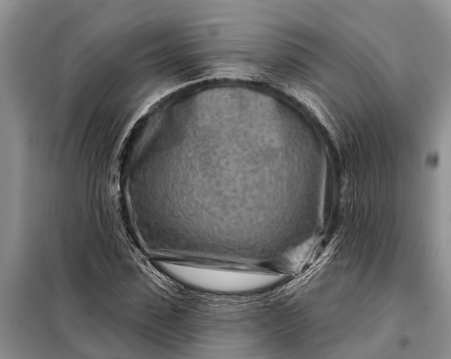 X0000097970923200804071054