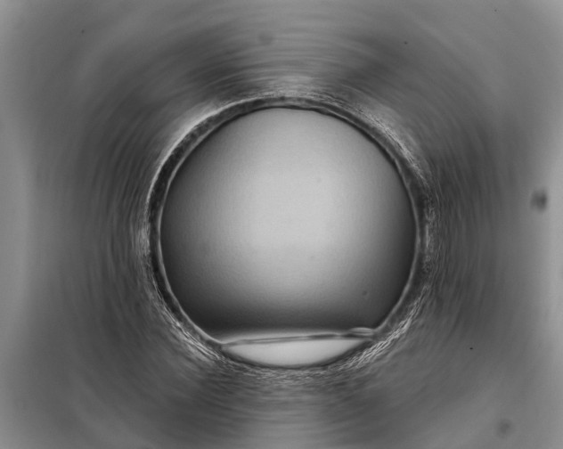 X0000097970924200804071054