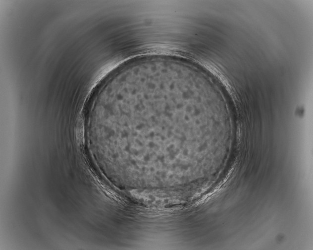 X0000097970925200804071054