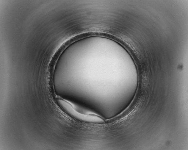 X0000097970926200804071054