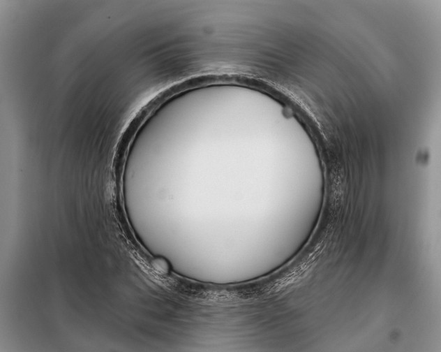 X0000097970927200804071054