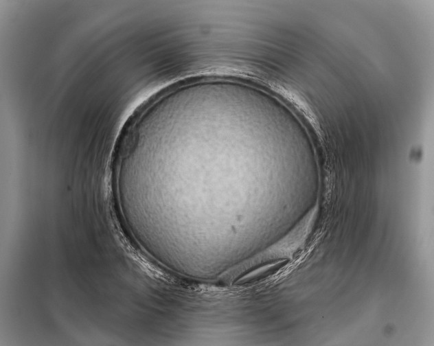 X0000097970928200804071054