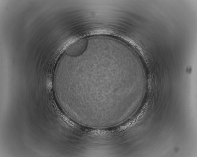 X0000097970929200804071054