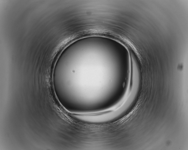 X0000097970930200804071054