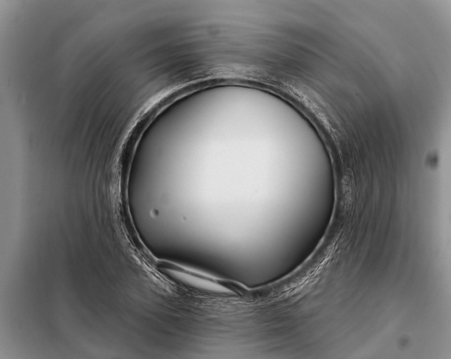 X0000097970931200804071054