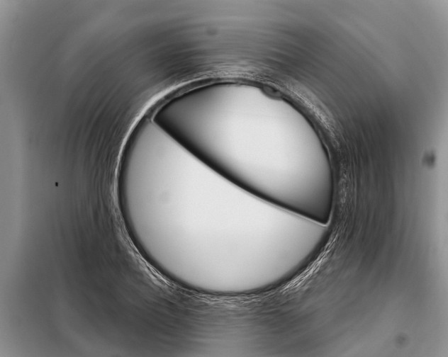 X0000097970932200804071054