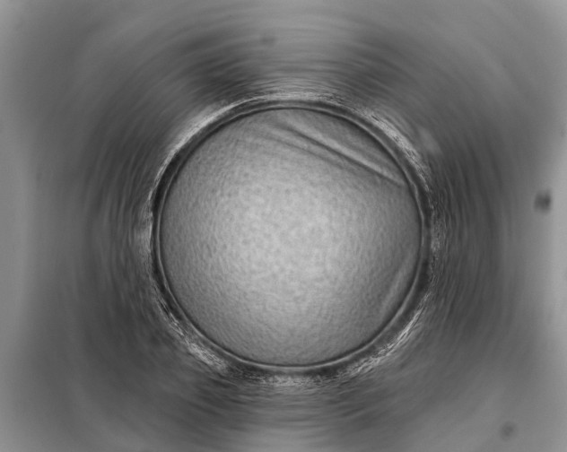 X0000097970933200804071054