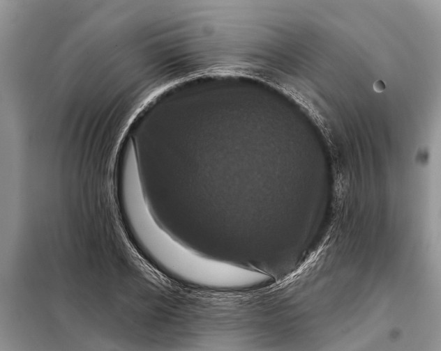 X0000097970934200804071054