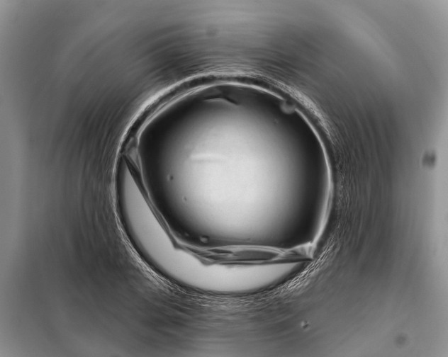 X0000097970935200804071054