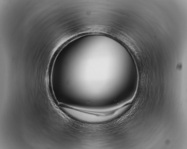 X0000097970936200804071054